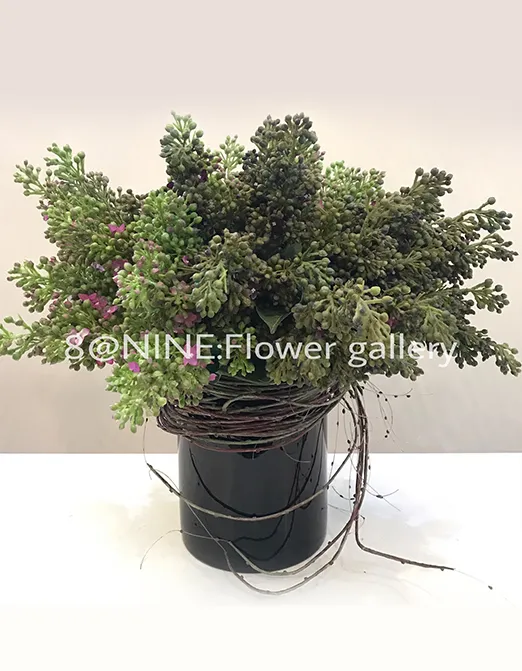 iTopPlus12503590733