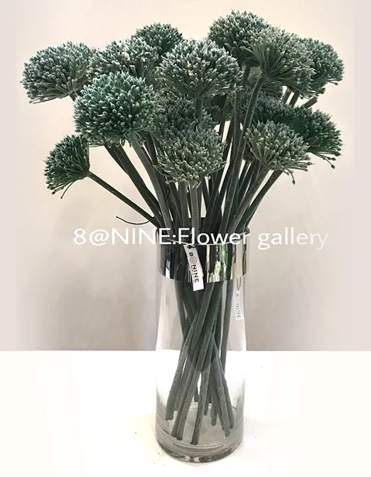 iTopPlus1491307012629