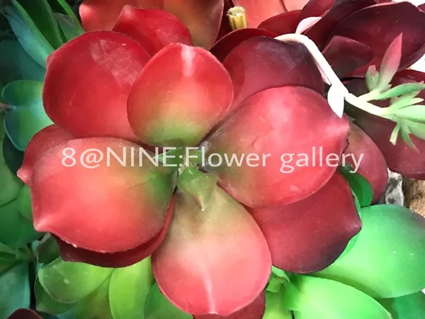 iTopPlus625535088142