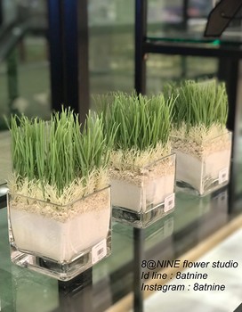 iTopPlus959560735828