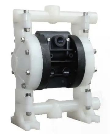 PP06