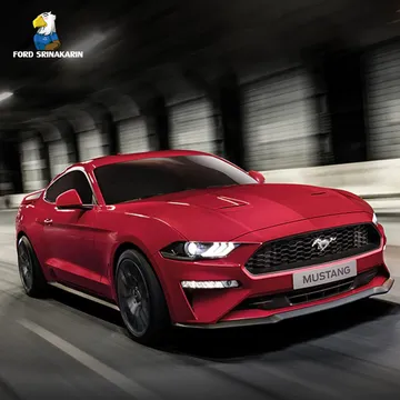 MUSTANG