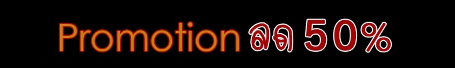 โปรเวปcopyz-z106321080098