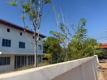 S97813820
