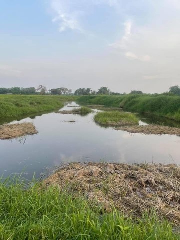 S98141340