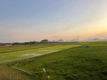 S98141470
