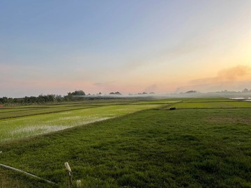 S98141690