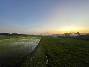 S98141700
