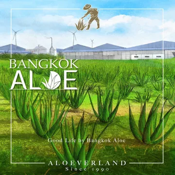 eBookBangkokAloep01page-0001(1)