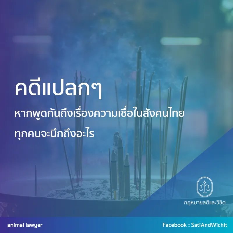 บทความ12คดีแปลกๆ