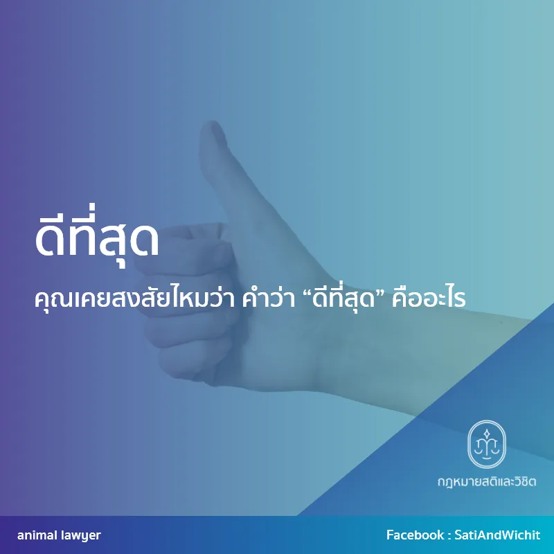 บทความ13ดีที่สุด