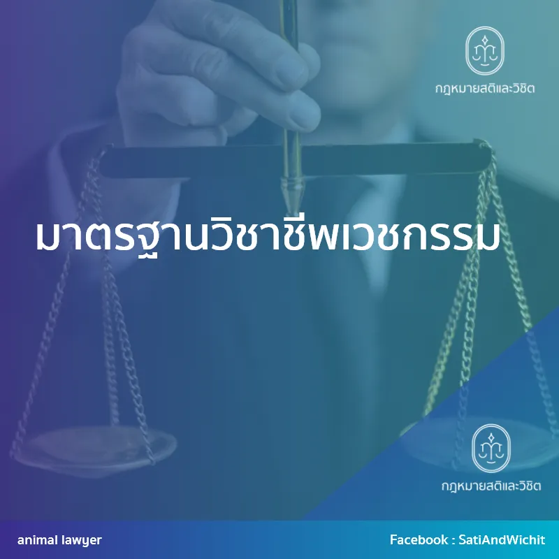 บทความ14มาตรฐานวิชาชีพเวชกรรม
