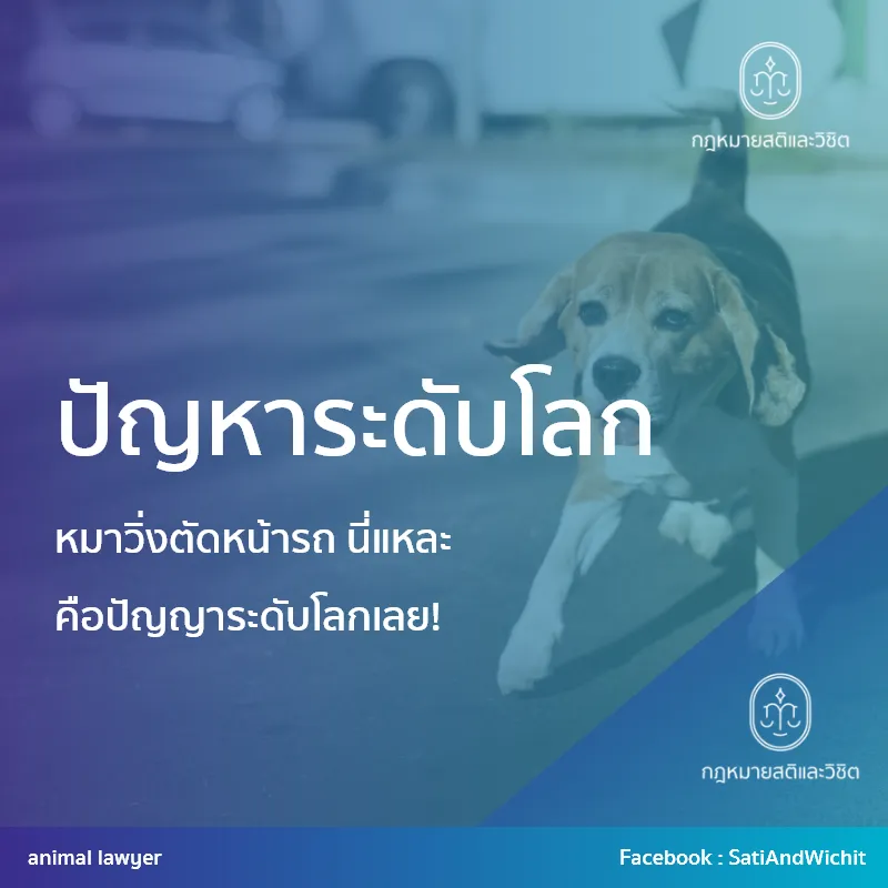 บทความ19ปัญหาระดับโลก
