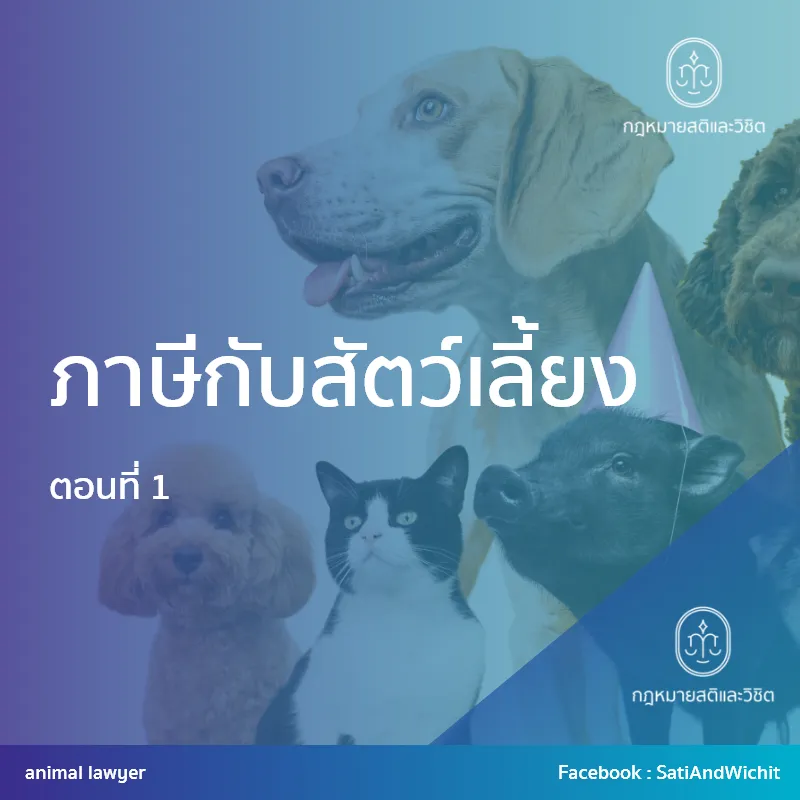 บทความที่30ภาษีกับสัตว์เลี้ยงตอนที่1