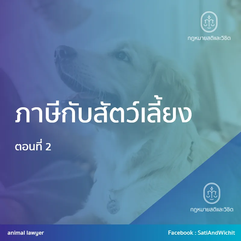 บทความที่31ภาษีกับสัตว์เลี้ยงตอนที่2