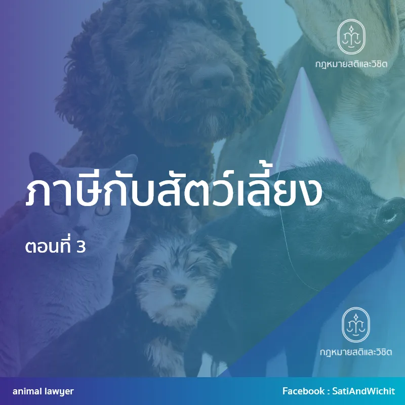 บทความที่32ภาษีกับสัตว์เลี้ยงตอนที่3