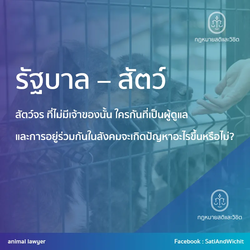บทความที่36รัฐบาล–สัตว์