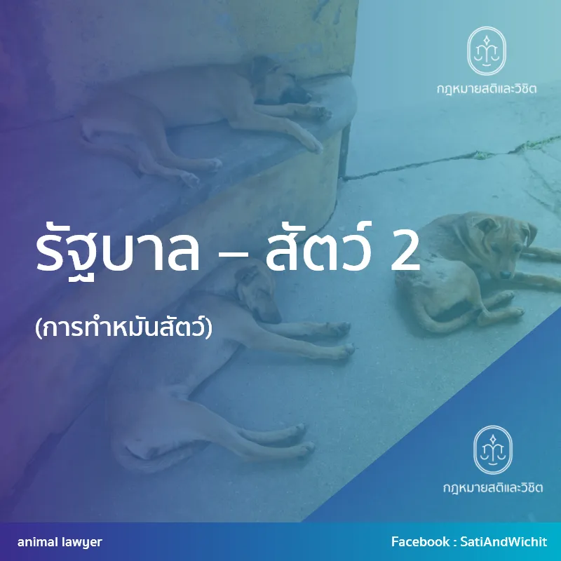 บทความที่37รัฐบาล–สัตว์II(การทำหมันสัตว์)