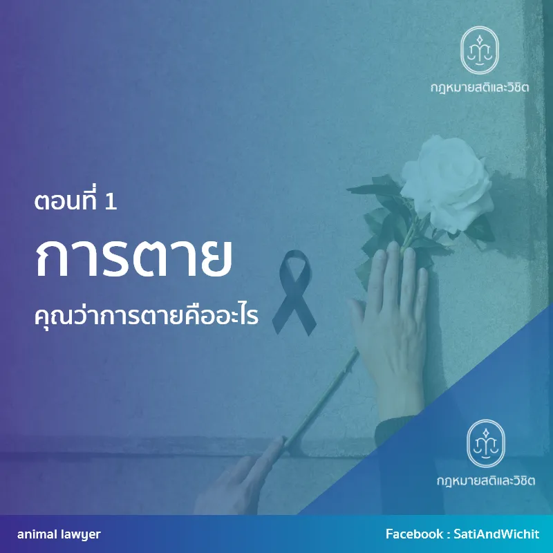 บทความที่38การตายI
