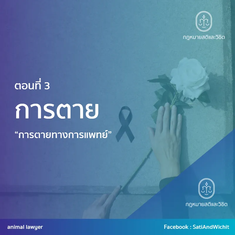 บทความที่40การตายIII