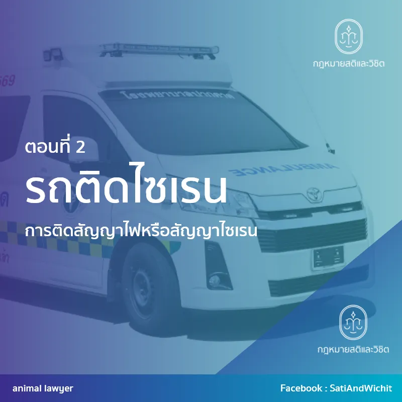 บทความที่42รถติดไซเรนII