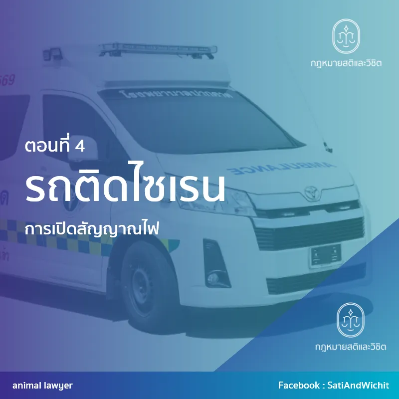บทความที่44รถติดไซเรนIV
