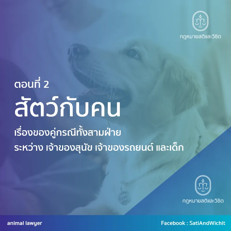บทความที่47คนกับสัตว์II