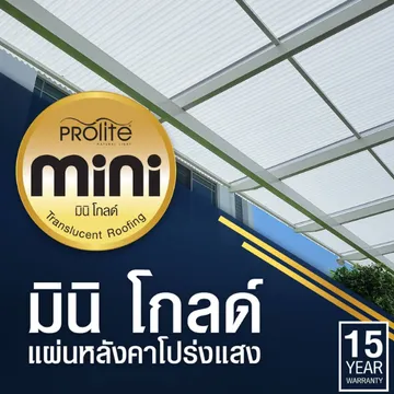โพลีคาร์บอเนต,(10)