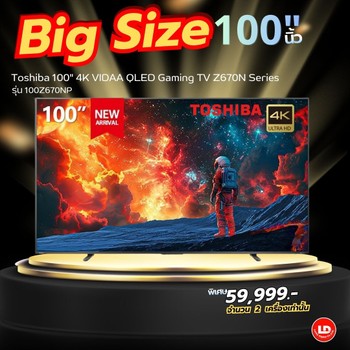 100Z670NP (2)