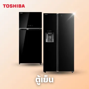 Toshiba(3)