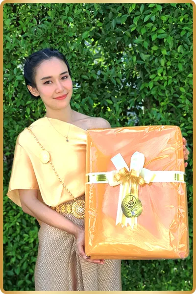 ชุดที่นอน