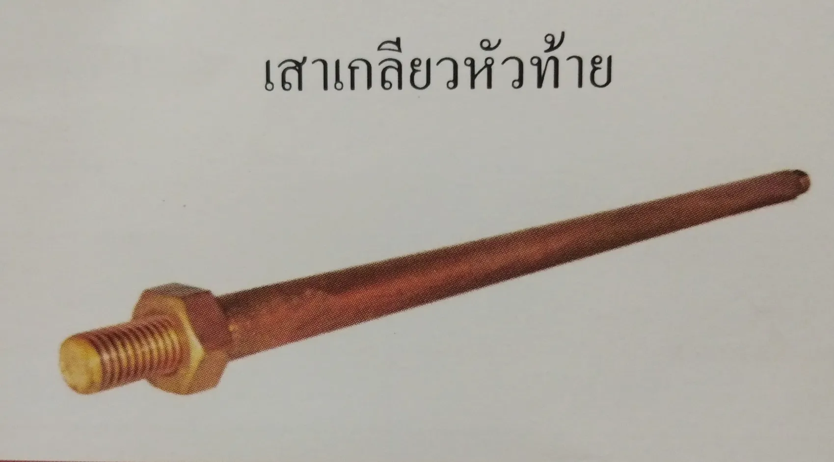 IMG25620723132307
