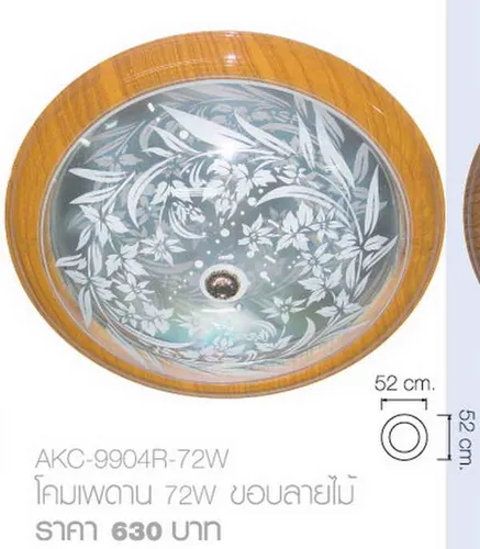iTopPlus1185998205808