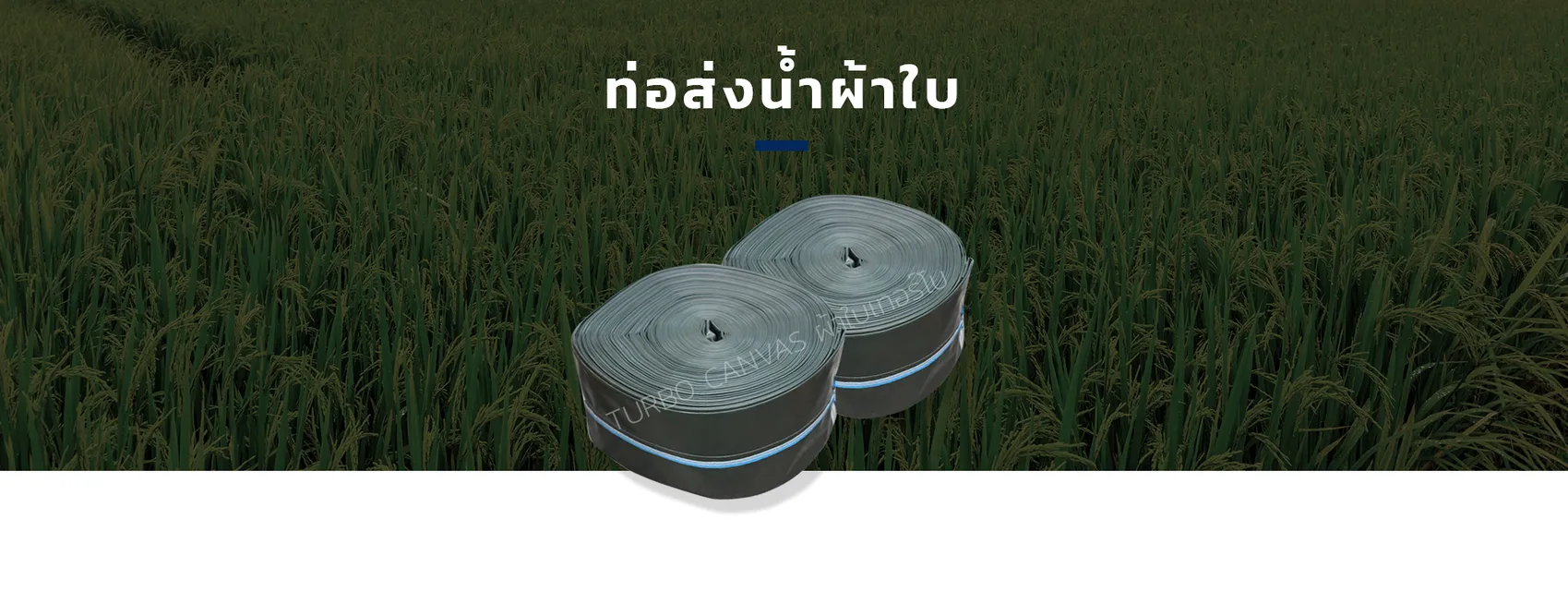 iTopPlus425874871115