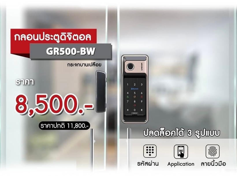 15676643252445lfmo258376316310