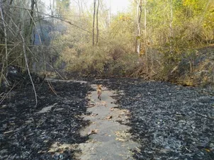 1710726993971
