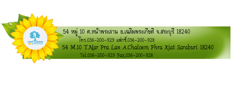 iTopPlus583960530432