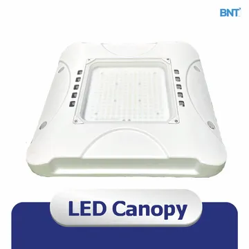 canopy