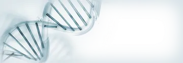 iTopPlus893137237826