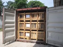 iTopPlus475744625398