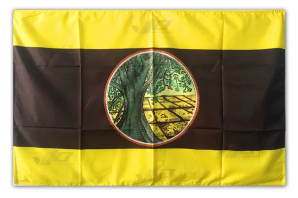 flag-of-maha-sarakham-province