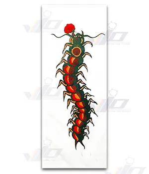 iTopPlus817208141993