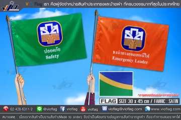 EmergencyFlag