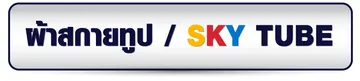 SKYTUBE