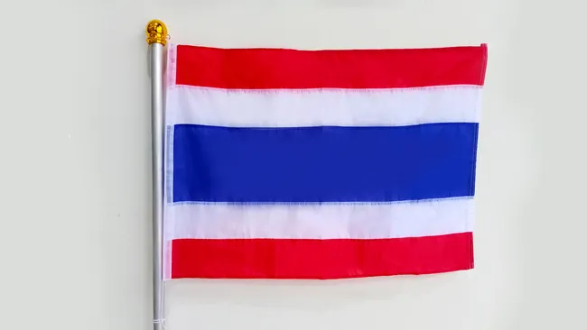 หัวกลมสีทอง2