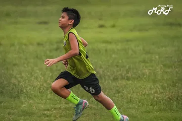 4447613371221539326641958899034928278196699697n