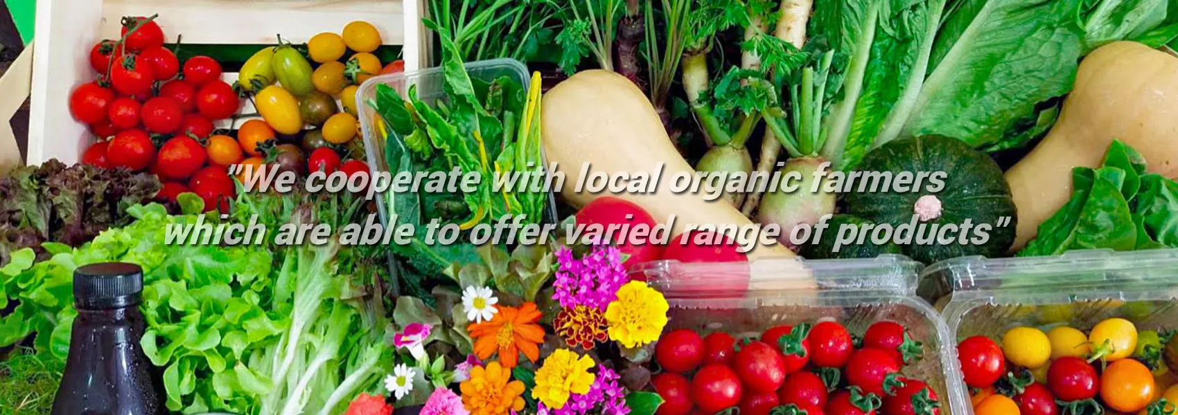 linethaifoodandgrocerybanner