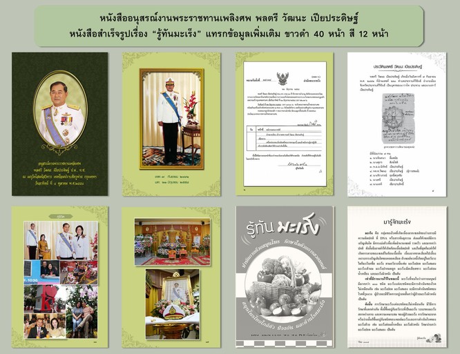 แบบแทรก-พลตรีวัฒนะ