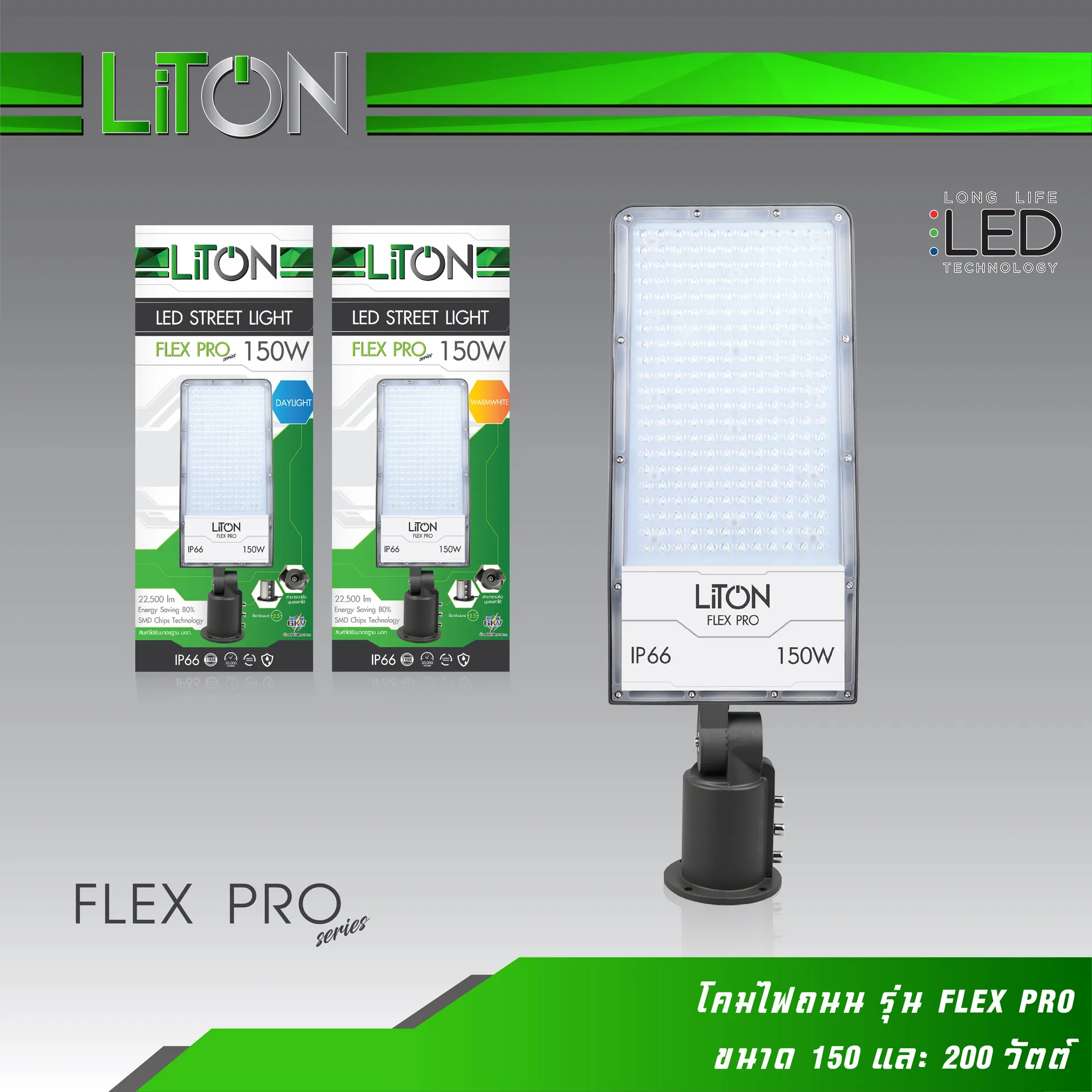 โคมไฟถนนรุ่นFLEXPRO-01