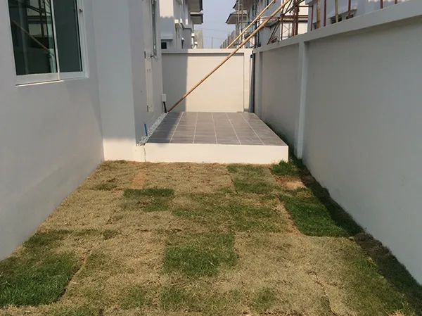 iTopPlus576793287678